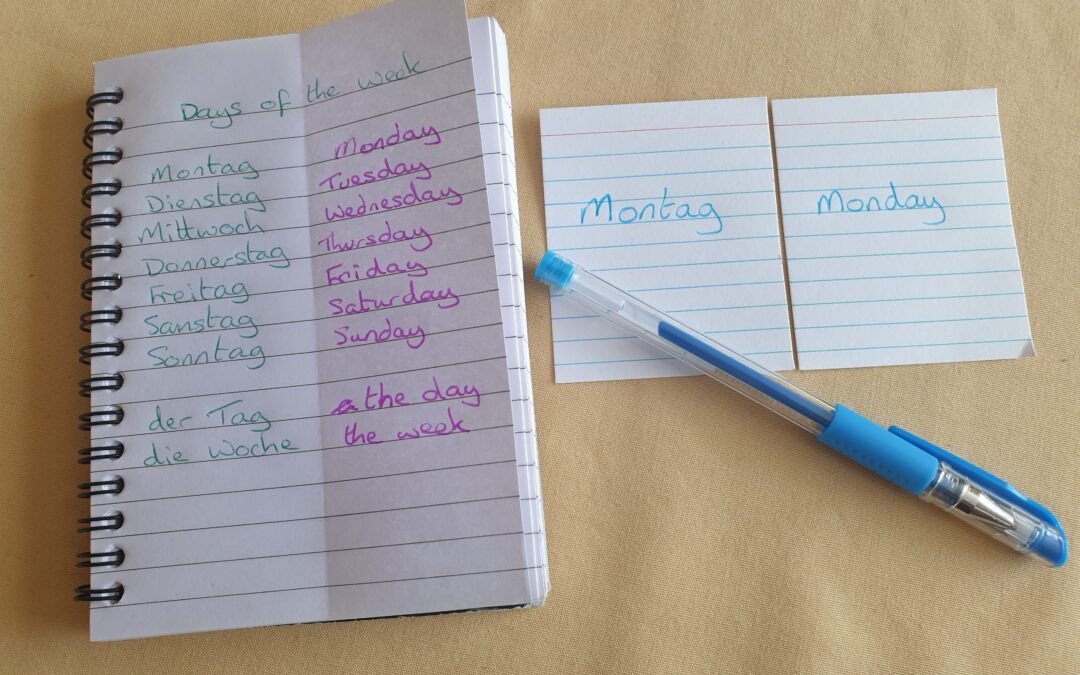 Learning Vocabulary Part 1: Isn’t that just for schoolkids?