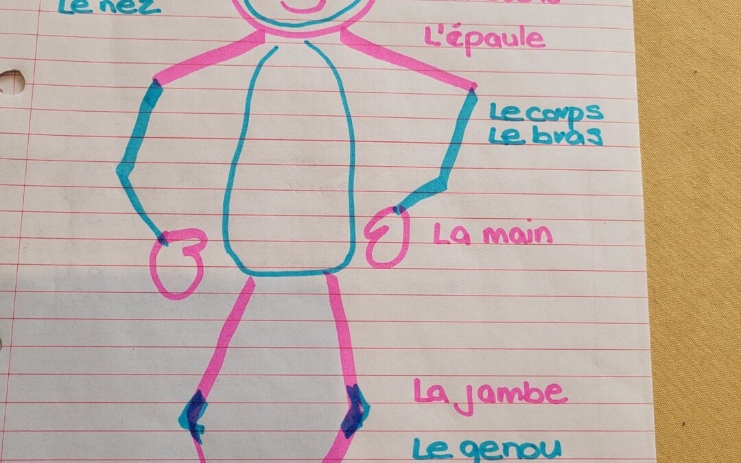 5 Study Tips for Learning Vocabulary
