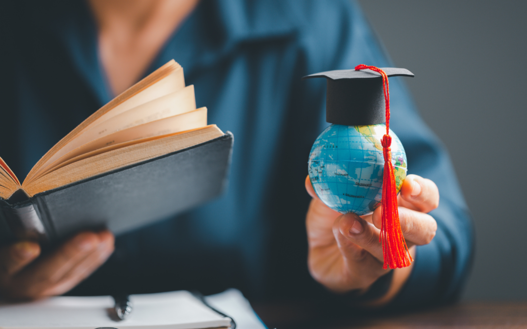 Moving to a New Country – the Language Question