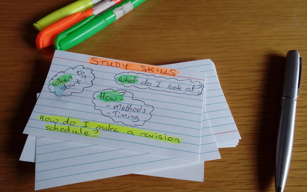 What do you mean, “Exam revision starts right NOW”?